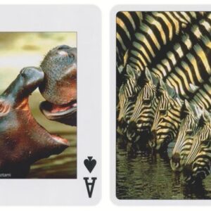 Карти за Игра Piatnik® – Animals of the Wild